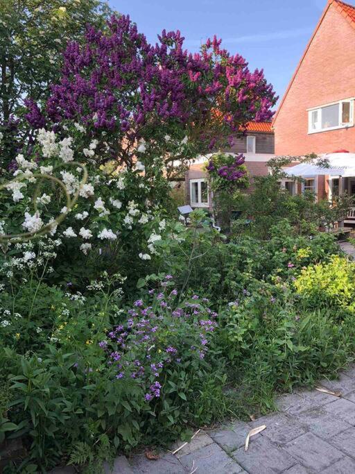 De Bollenschuur Villa Egmond aan Zee Exterior foto