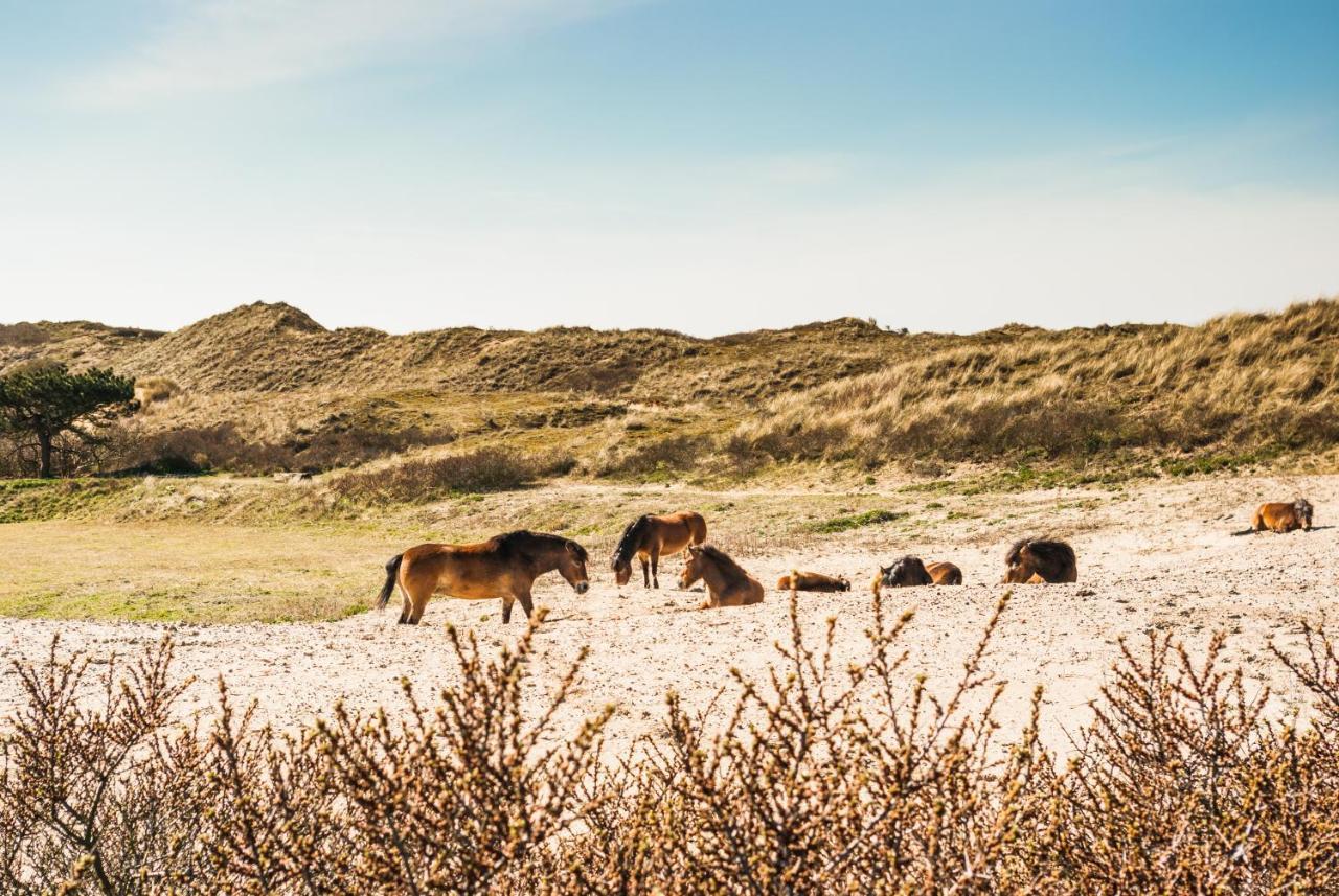 De Bollenschuur Villa Egmond aan Zee Exterior foto
